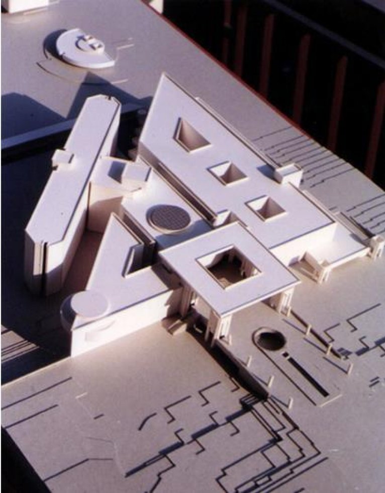 Emergency & Trauma Hospital